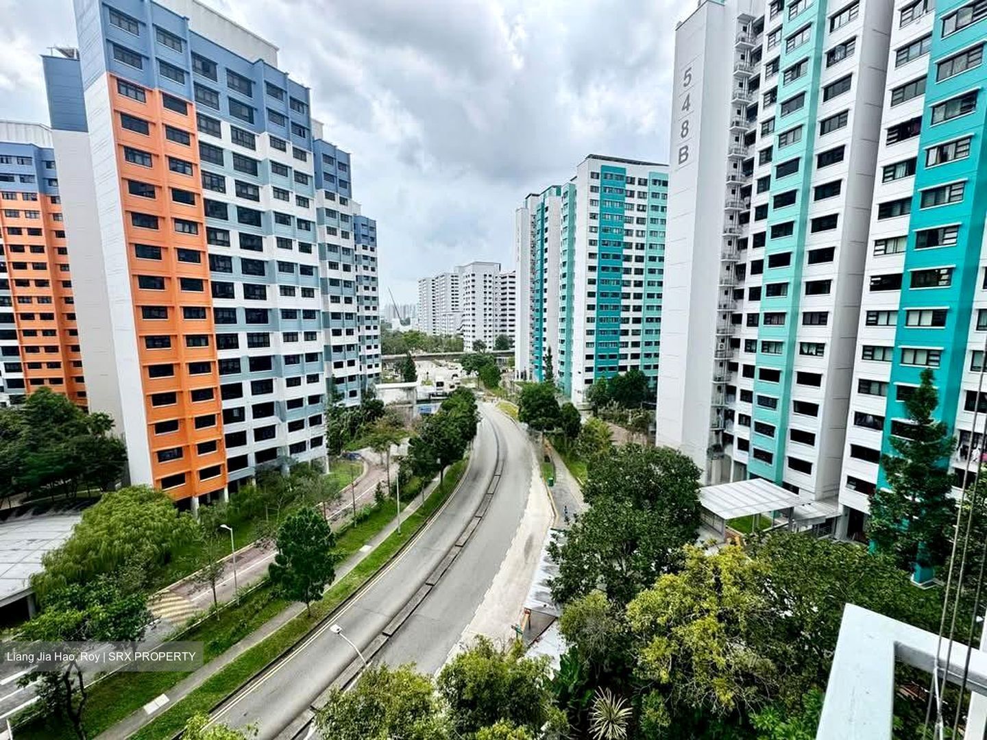 Blossom Residences (D23), Condominium #533724661